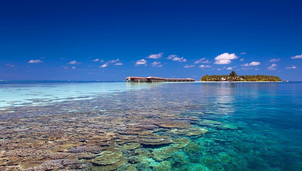 Vilamendhoo Island Resort Maldives Resorts Koamas Luxury - 