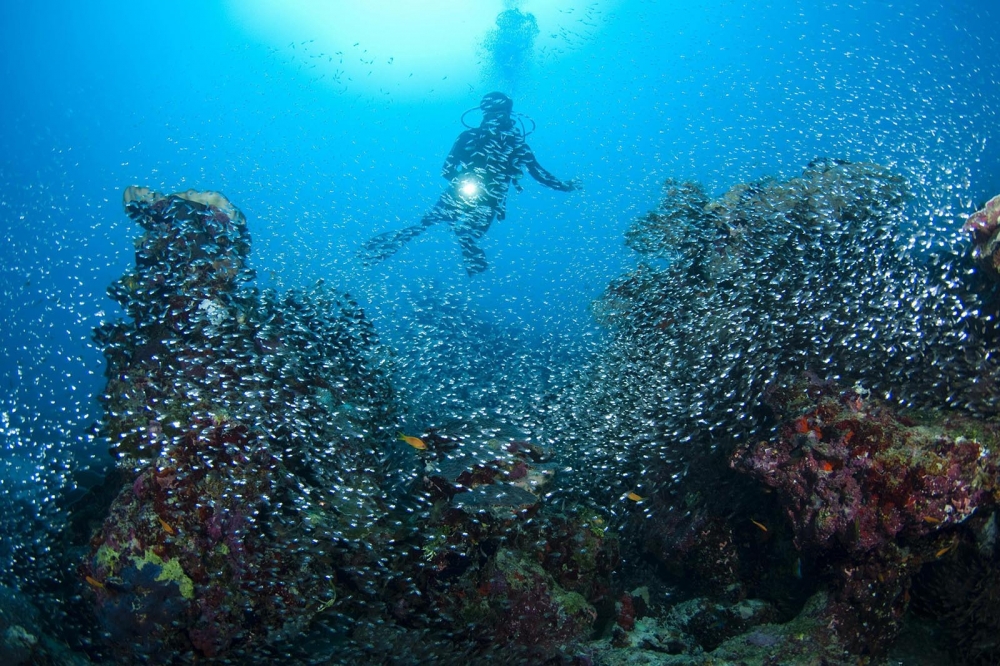 Scuba Diving  