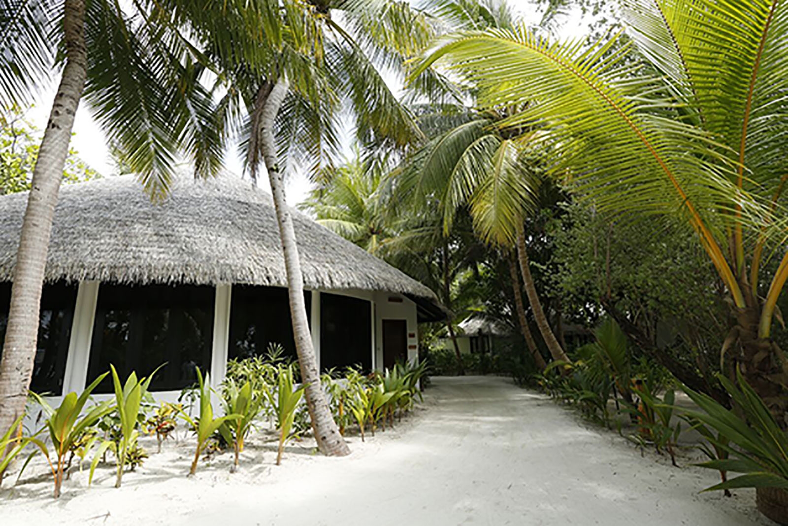 Maldivian Suite with Pool